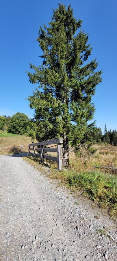 Anna Altreichenau Lägenhet Neureichenau Exteriör bild