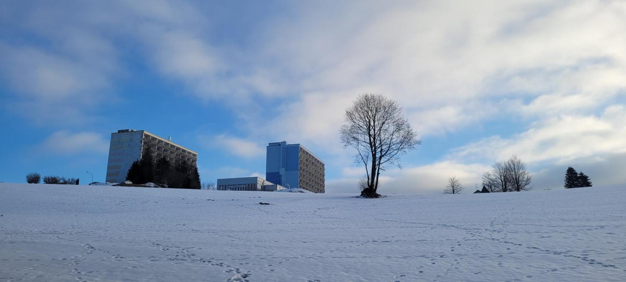 Anna Altreichenau Lägenhet Neureichenau Exteriör bild